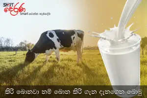 drinking milk